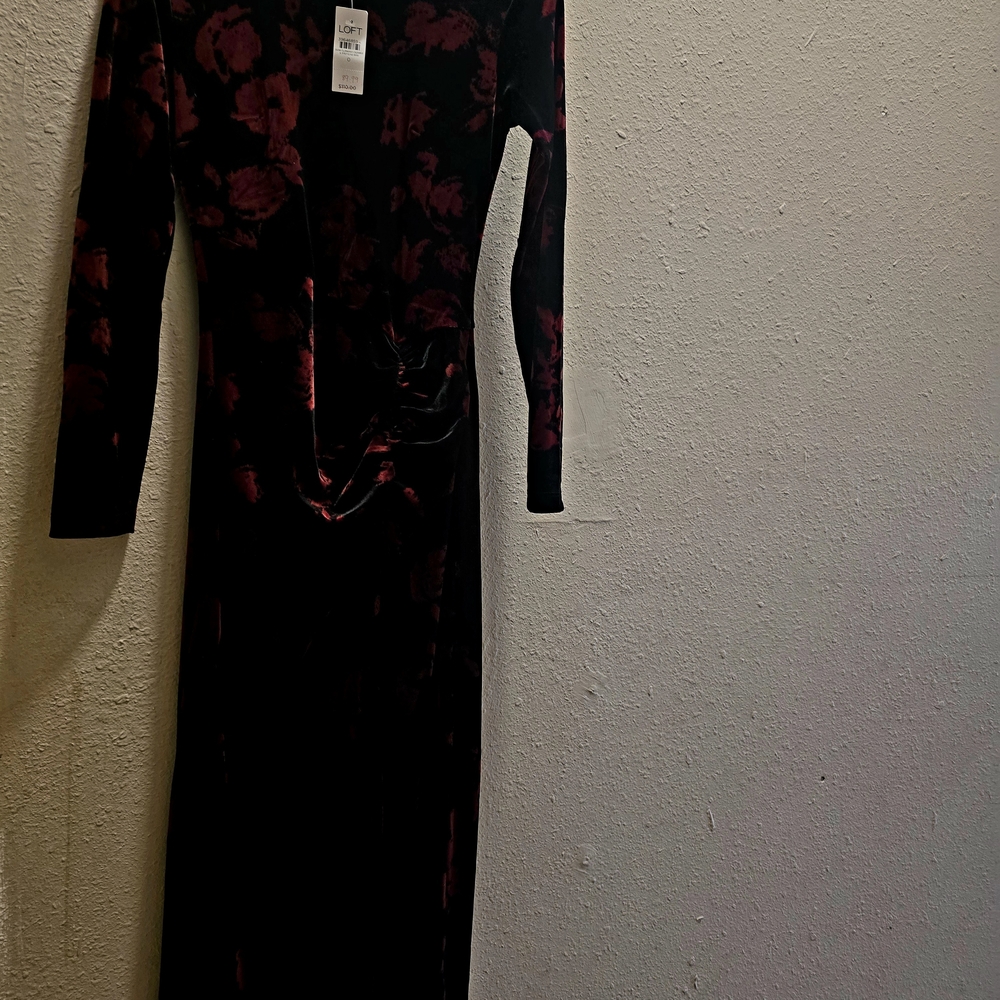 LOFT Black Velvet Long-Sleeve Dress with Burgundy Floral
